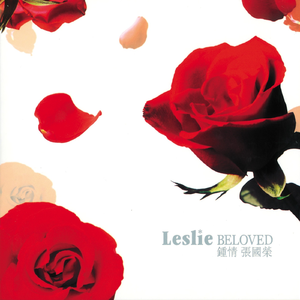 日向花火被爆曹
