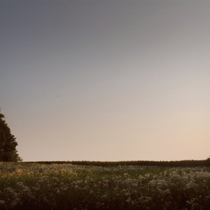 日向花火被爆曹
