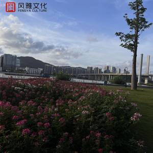 日向花火被爆曹
