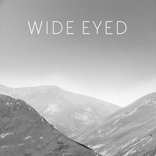 日向花火被爆曹
